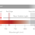 Spectrum-ALT-PT-English_English-Thermal
