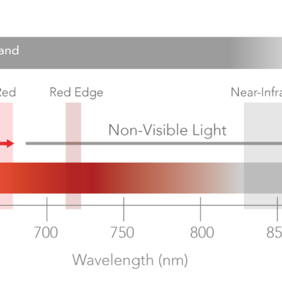 Spectrum-ALT-PT-English_English-Thermal