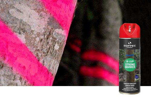 categoria pintura forestal soppec
