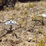 HEA_BLO_GEO_Pix4Dsurvey-cloud_use_case