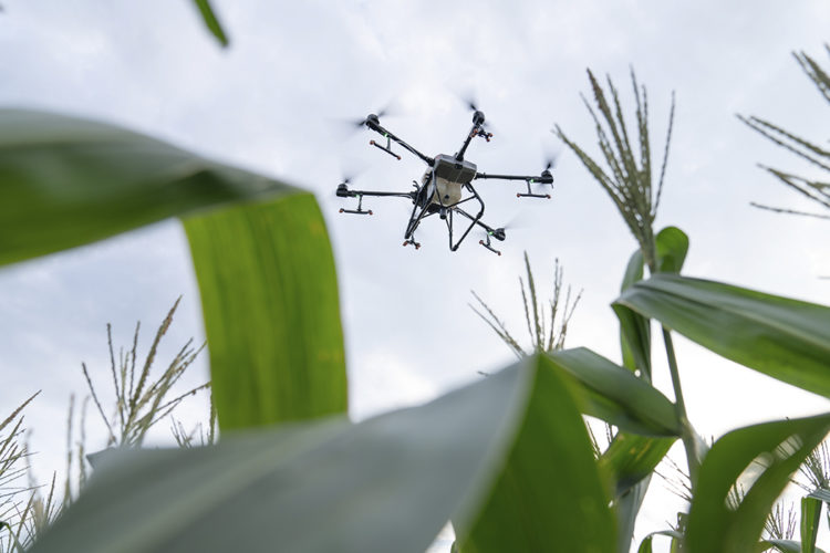 AYUDA FERTILIZANTES NOTICIA