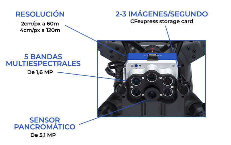 rededge-blue-caracteristicas rededge-blue-caracteristicas
