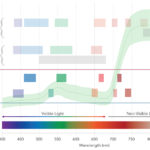 REP-DUAL-SPECTRUM-CMYK
