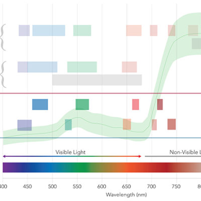 REP-DUAL-SPECTRUM-CMYK