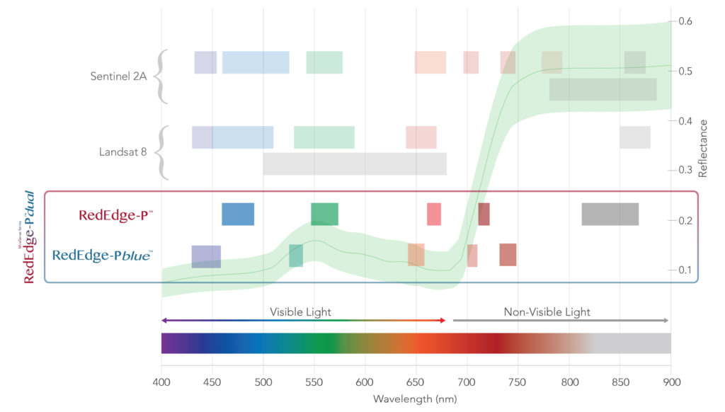 REP-DUAL-SPECTRUM-CMYK