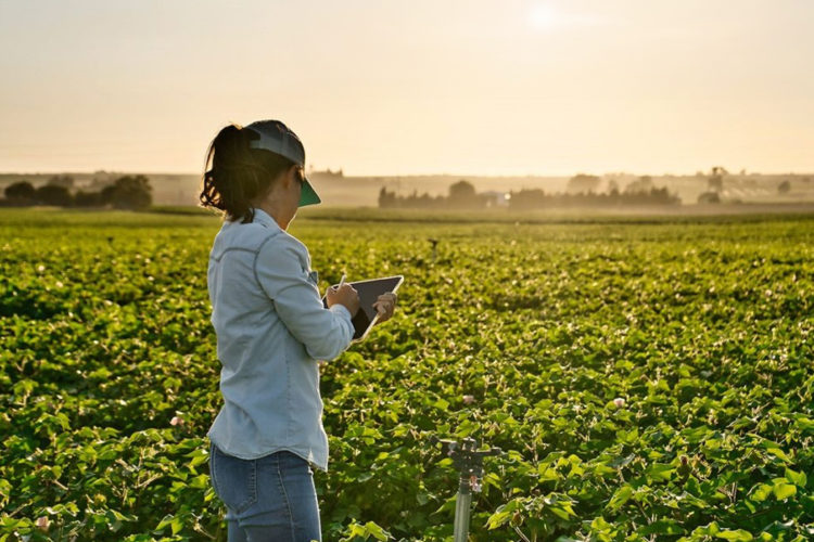 AGROEXPO 2024